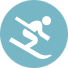 Icon Ski